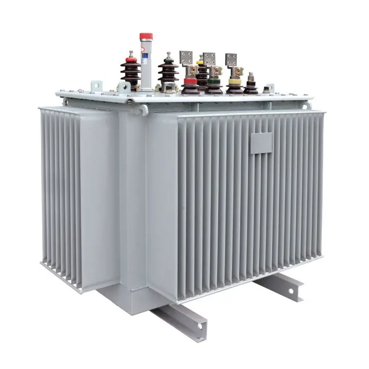 10kV Oil-immersed Transformer